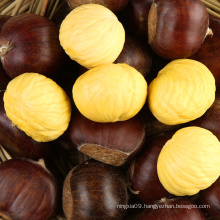 organic raw quick frozen chestnuts kernel